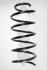 SPIDAN 85692 Coil Spring